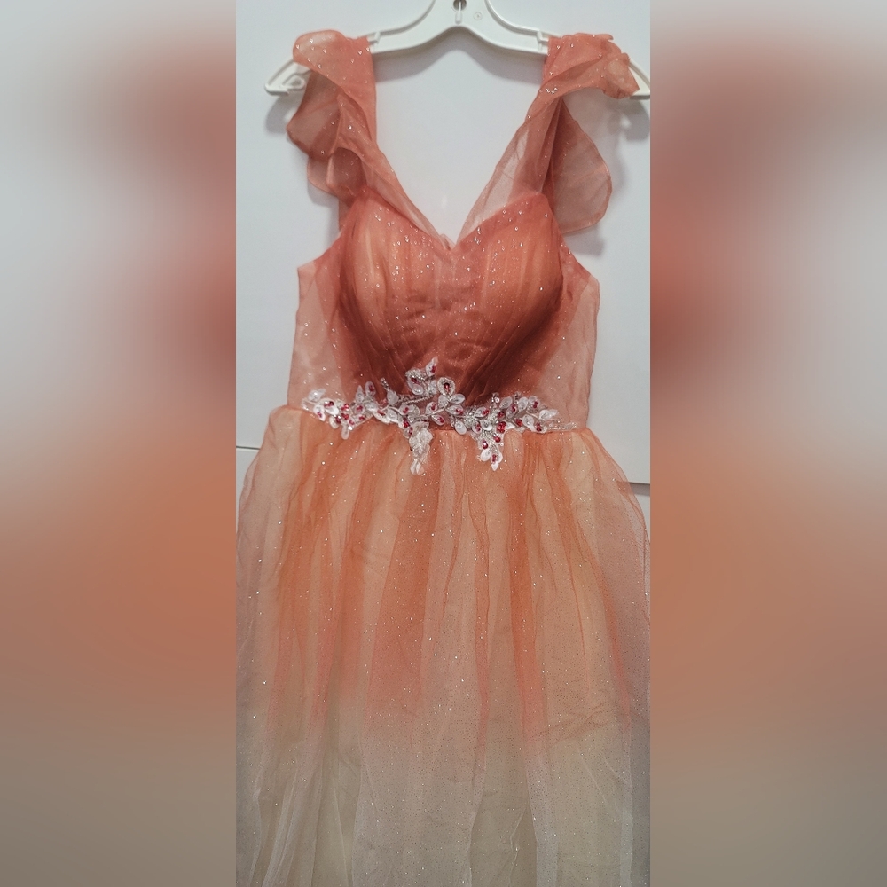 Beautiful glittery peach dress